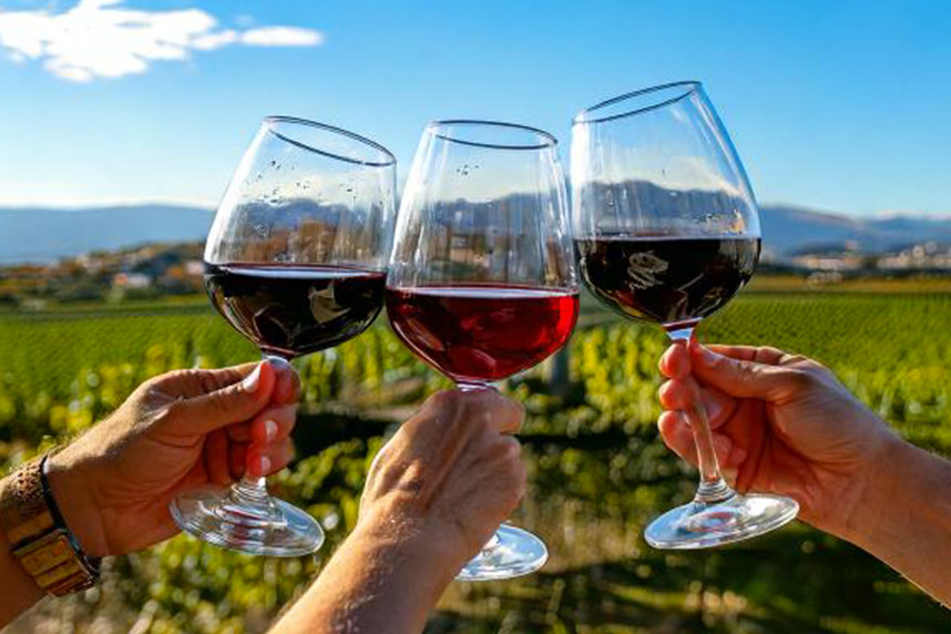 Montepulciano, Amarone und Chianti: Die K�nige der Rotweine, die du nicht verpassen solltest